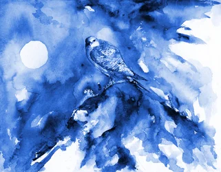 Moonlit Blue Falcon