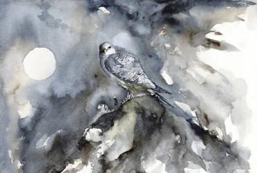 Moonlit Falcon Watch