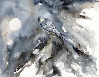 Moonlit Falcon Watch