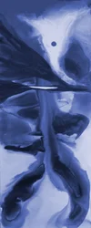 Moonlit Fluid Dream