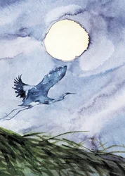 Moonlit Heron Flight