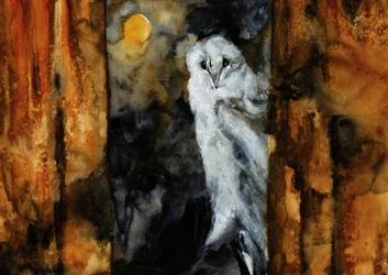 Moonlit Owl Embrace