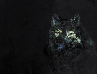 Mysterious Black Wolf