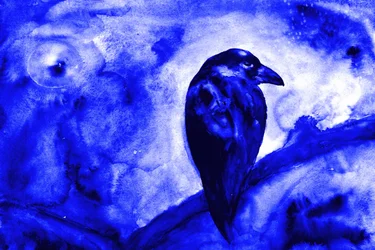 Raven Under Moonlight