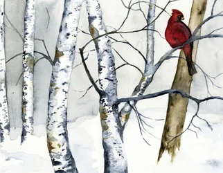 Red Cardinal Birch Forest