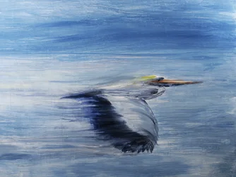 Serene Bird Flight
