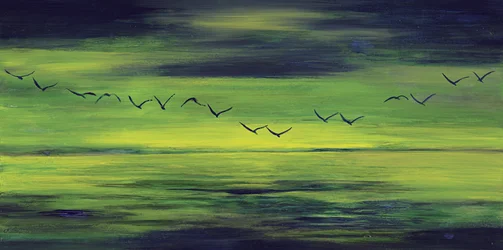 Serene Green Flight