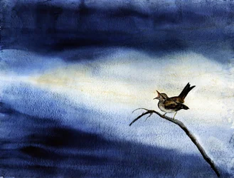 Singing Bird Dark Sky