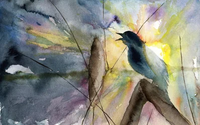 Singing Bird Sunrise