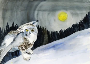 Snowy Owl Winter Moon