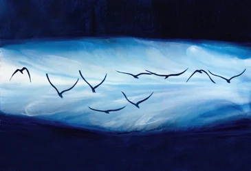 Soaring Blue Birds
