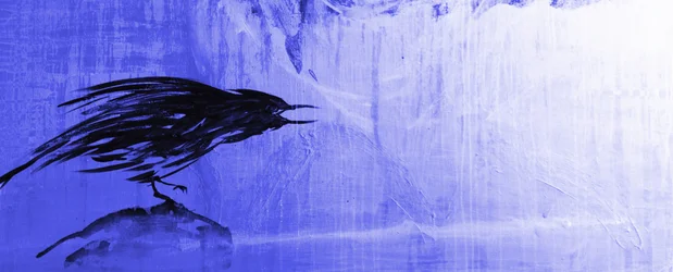Solitary Blue Raven