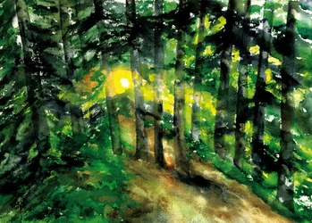 Sunlit Forest Path