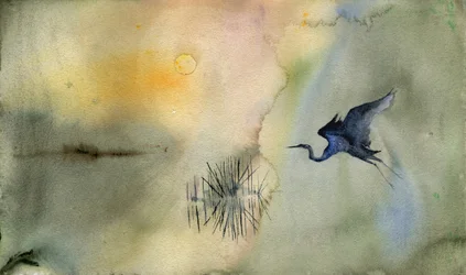 Tranquil Heron Flight
