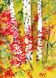 Vibrant Autumn Birches