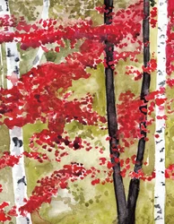 Vibrant Autumn Forest