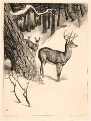 Deer Family