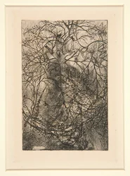 Branches