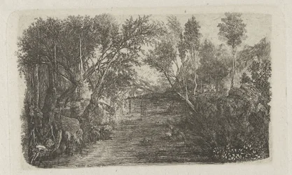 Landscape with stream and trees on banks