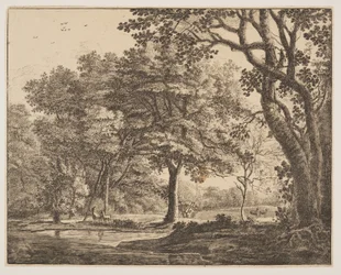 Plate 6, from Six Views in the Wood of The Hague