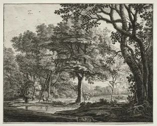 Six Views in the Wood of the Hague: Plate 6, Two Deer