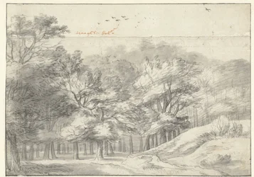 View in the Haagse Bos