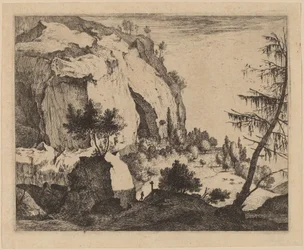 Rocky Landscape with Fir