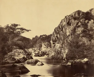 Heron Pool on the Lledr
