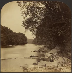 Riverscape