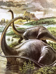 Diplodocus