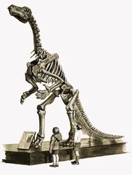 In the Days of the Dinosaurs: A Hundred Million Year Old Mystery