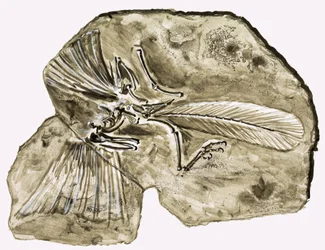In the Days of the Dinosaurs: Secret in the Stone