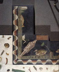 Asarotos (Floor Unswept) Fragments of Mosaic Signed by Harakliton from Rome, 2nd Century AD