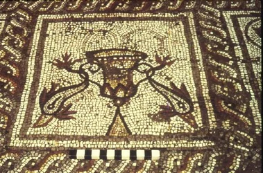 Dolphin Mosaic, Insula XXVIII, Building 3