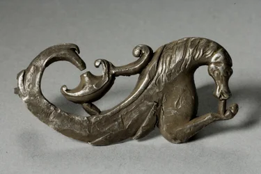 Fibula of a Hippocamp