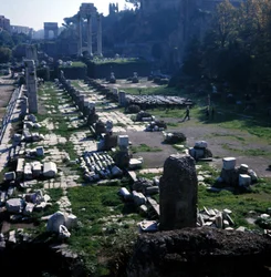 Location where the Basilica Giulia started by Cesar around 54 BC and ended by Augustus - Roman Forum, Rome
