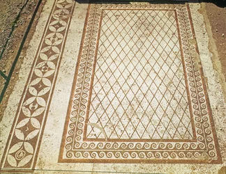 Mosaic floor from the House of the Messii