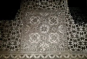 Roman Art: detail of the mosaics of the ground from Villa Adriana