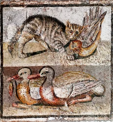 Roman Art: mosaic depicting a wild cat catching a partridge and two ducks. 200-150 BC. Museo Nazionale Romano, Rome, Italy