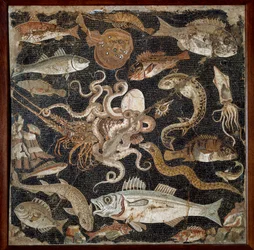Roman Art: Marine Life