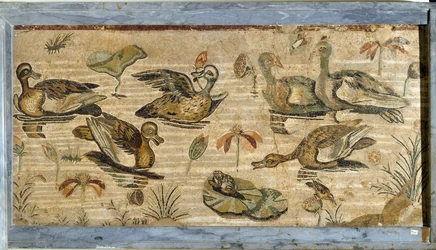 Roman art: duck, frog and water lilies in a pond. Mosaic from the House of the Faun in Pompeii. 1st century. Dimensions: 132 x 164 cm. Museo Archeologico Nazionale, Naples
