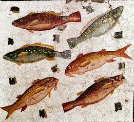 Roman art: mosaic depicting fish. 1st century BC. Museo Nazionale Romano, Rome, Italy