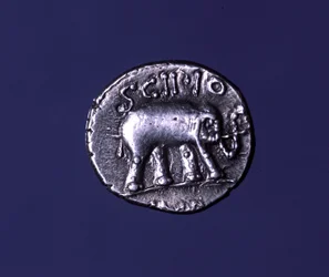 Silver coin representing an elephant, fetish animal of the Scipions. Lucius Caecilius Metellus seized the Carthaginian elephants in 251 BC. 47-46 BC