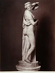 The Venus Callipigia