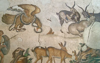 Unknown Image