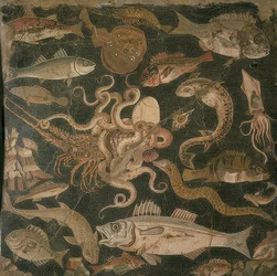Aquatic Animals, Battle between an Octopus and a Lobster