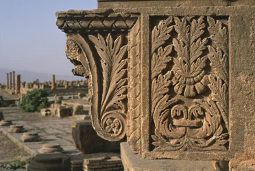 Architectural fragment with carved decoration, Sertius Market, High Imperial Period