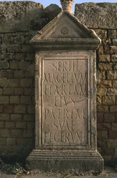 Stela with an inscription on Sertius Market High Imperial Period