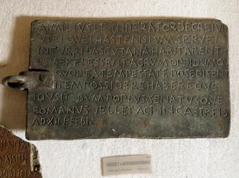 Decret of postage in Latin on bronze plate: it was promulgated on January 21