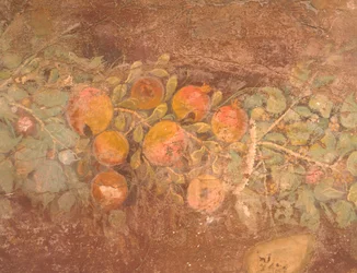 (Detail) Fresco with Decoration of Flowers and Fruit from Roman Villa of Boscoreale, Naples, Roman Civilization